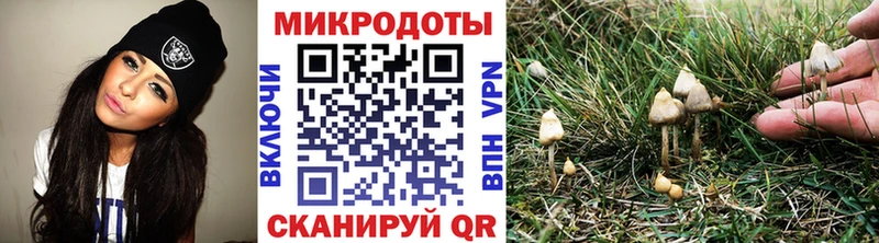 Галлюциногенные грибы MAGIC MUSHROOMS  Дмитровск 