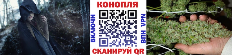 Конопля семена  наркотики  Дмитровск 